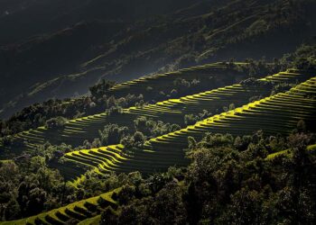 2 House Church Pastors Shot in Vietnam’s Central Highlands