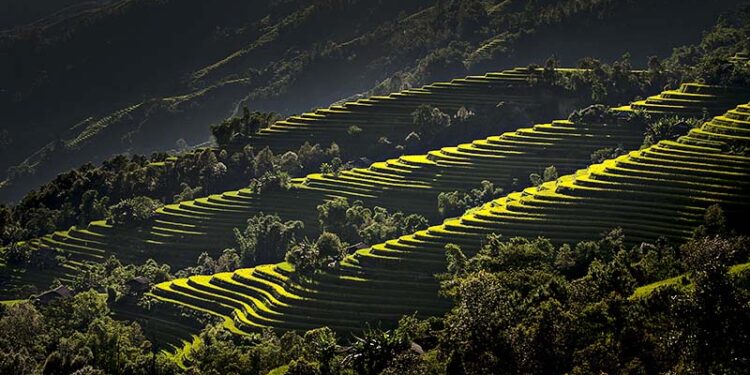 2 House Church Pastors Shot in Vietnam’s Central Highlands